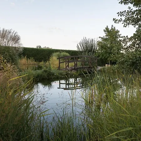 Les Jardins De Madeleine Couette-café