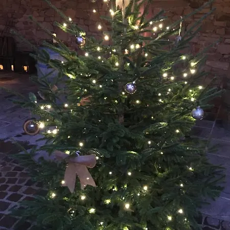 Les Jardins De Madeleine Bernardvillé