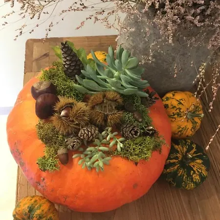 Les Jardins De Madeleine