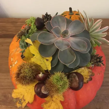 Les Jardins De Madeleine Couette-café 4*