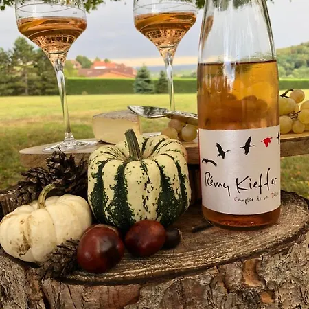 Les Jardins De Madeleine 4* Bernardvillé